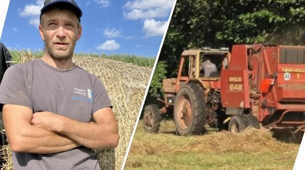 В Германии с луга украли трактор «Беларус» времен ГДР В Германии с луга украли трактор «Беларус» времен ГДР