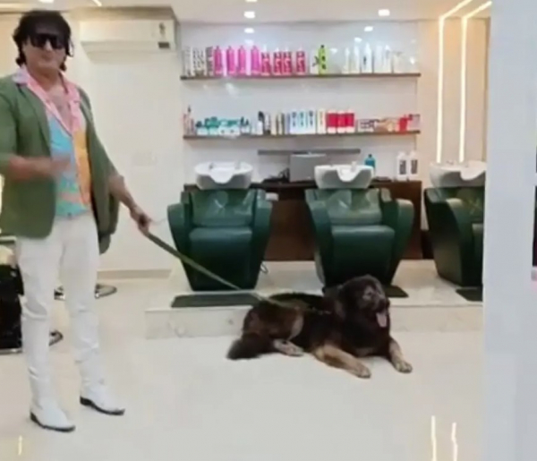 Это самая дорогая собака в мире &mdash; ее продали за $5,7 миллиона