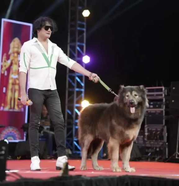 Это самая дорогая собака в мире &mdash; ее продали за $5,7 миллиона