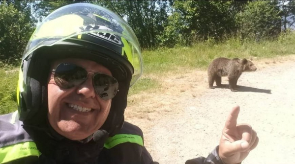 Селфи с медведем стоило жизни &mdash; подробности дикой истории