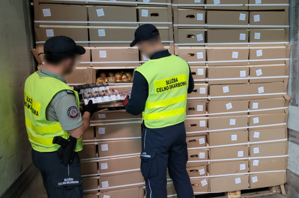 Белорусские сигареты на сумму около $405 тысяч нашли в грузовике
